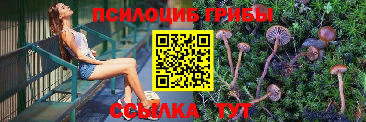 Галлюциногенные грибы мицелий Вологда