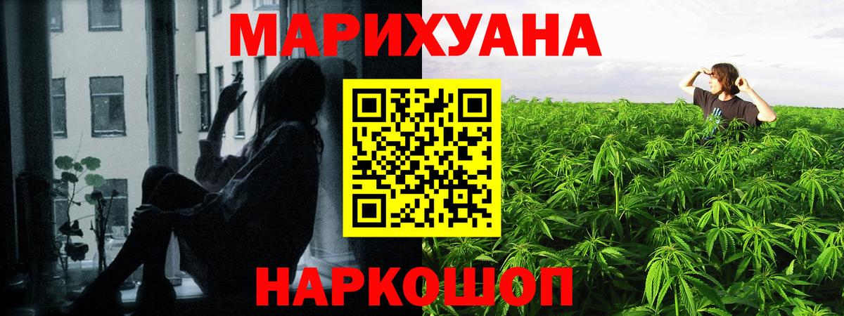 Каннабис план  Марихуана марихуана  Вход с VPN  Вологда  МАРИХУАНА LSD WEED  Шишки марихуана гибрид 