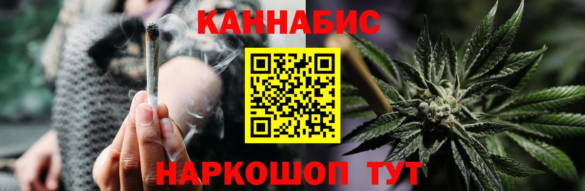 Бошки Шишки планчик Вологда